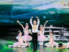 -小荧星艺校(浦东中环分校)