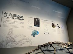 -自贡恐龙博物馆