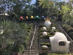 -100蛋泥浆浴