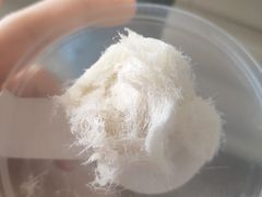 -汪玉霞(汉口里店)