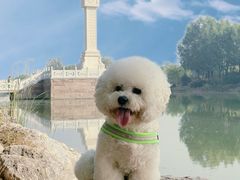 -马家湾湿地公园