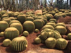 -南通洲际绿博园