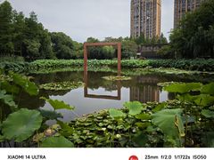 -陈家山荷花公园