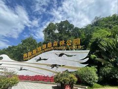 -西双版纳原始森林公园