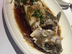 清蒸石斑-品味长安