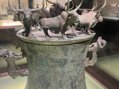 -上海博物馆(人民广场馆)