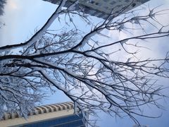 iphone_upload_pic-新新湘菜馆(新中街二条店)