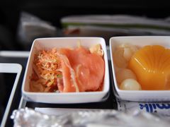 -新加坡航空公司(ION)