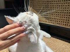 -谷咖啡·鲜花绿植花园餐厅