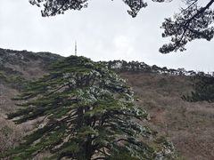 -黄山风景区