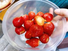 甘草水果-老炳·七丛松甘草水果