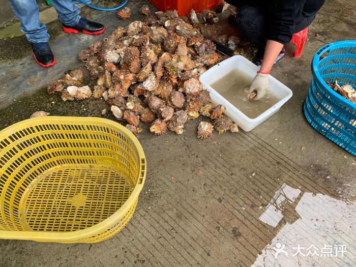 鸿港海鲜批发市场图片