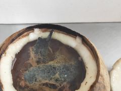 原只椰子炖竹丝鸡-達揚原味燉品(文明路店)
