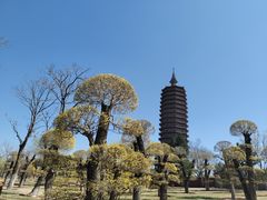 -西海子公园