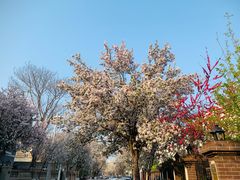 -天津五大道文化旅游区