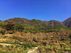 -塔川景区