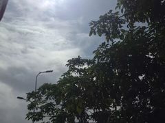 -飞来湖湿地公园