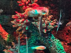 -沈阳海洋探索中心