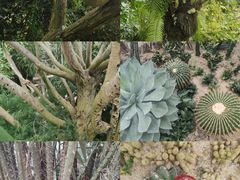 -中国科学院华南植物园