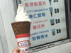 -富豪雪糕车流动点(尖沙咀)