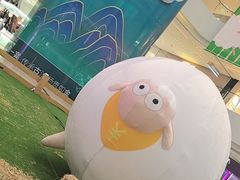 -阳光天地