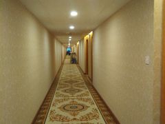 -维也纳酒店(南京奥体中心店)
