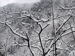 -九峰山