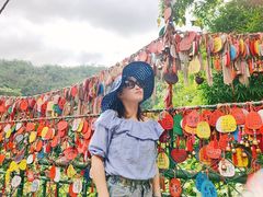 -西双版纳原始森林公园