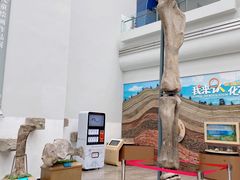 -自贡恐龙博物馆