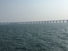 -星海湾跨海大桥