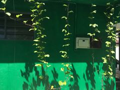 -都念榴莲·城市榴莲