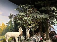 -陕西自然博物馆