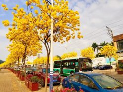 -加帕瑜伽培训学院