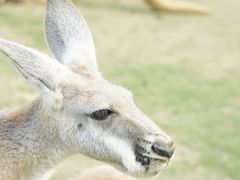 -泉州海丝野生动物世界
