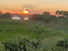 -七的湖·晚芳亭·阳澄湖农家菜·大闸蟹(莲花岛店)