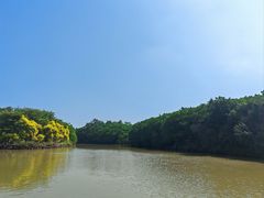 -大湾区中央湿地公园