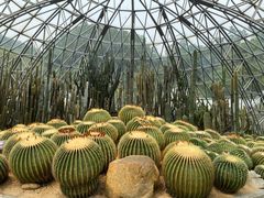 -深圳仙湖植物园