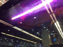 -新辉港式茶餐厅(北栅店)