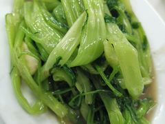 -新陶陶酒家