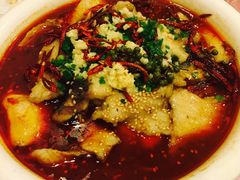 -旭龙鱼头王(航华店)