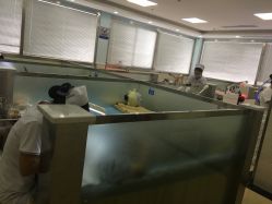点击看大图 -痘博士广州·全国连锁祛痘机构