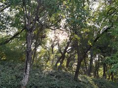 -窨子山古文化遗址