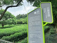 -树山生态村