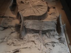 -北京大葆台遗址博物馆