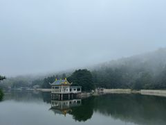 -庐山风景区花径公园