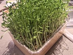 -海底捞火锅(太阳宫凯德mall店)