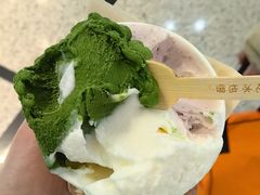 -鹤茶野所(上海首店)
