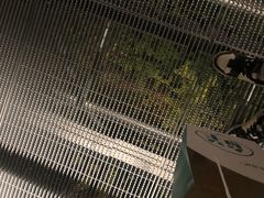 -梅峰山地公园