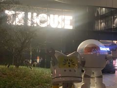 -TZ House音乐现场(来福士中心店)