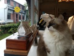 -灯塔咖啡馆BOOK·Coffee Shop